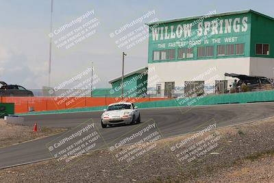 media/May-03-2025-Lucky Dog Racing (Sat) [[206de64b9d]]/Turn 4 B (1150am-130pm)/